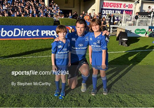 Mascots at Leinster v Ospreys - Celtic League 2013/14 Round 2