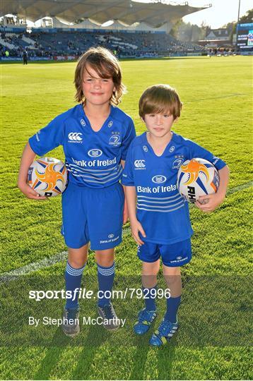 Mascots at Leinster v Ospreys - Celtic League 2013/14 Round 2