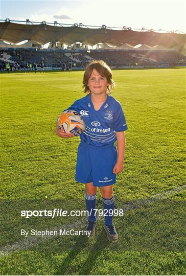 Mascots at Leinster v Ospreys - Celtic League 2013/14 Round 2