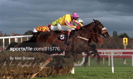 Horse Racing from Leopardstown