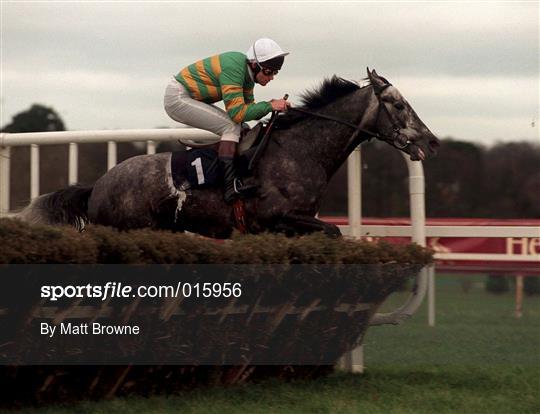 Horse Racing from Leopardstown