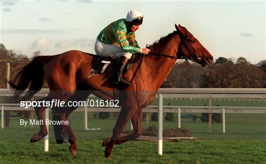 Leopardstown Christmas Festival 1998 - Day Three