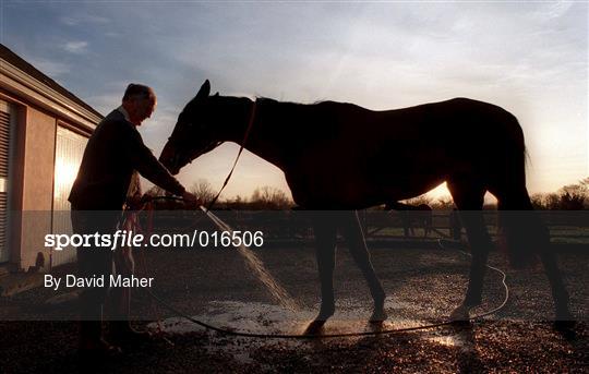 Horsetrainer Paddy Fennelly with Padre Mio