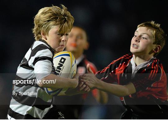 Half-Time Mini Games at Leinster v Cardiff Blues - Celtic League 2013/14 Round 4