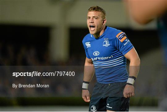 Leinster v Cardiff Blues - Celtic League 2013/14 Round 4