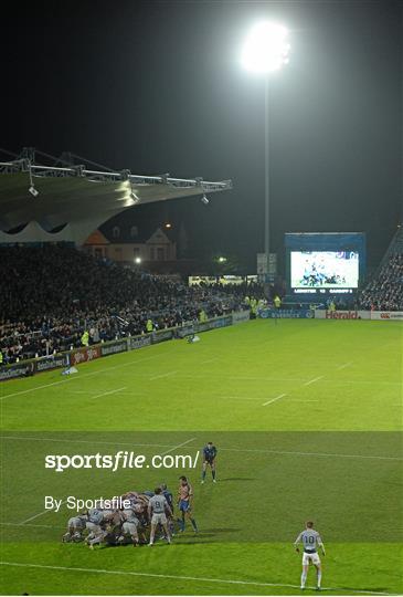 Leinster v Cardiff Blues - Celtic League 2013/14 Round 4