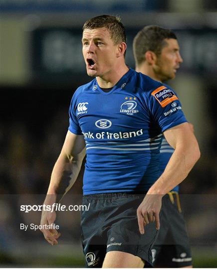 Leinster v Cardiff Blues - Celtic League 2013/14 Round 4