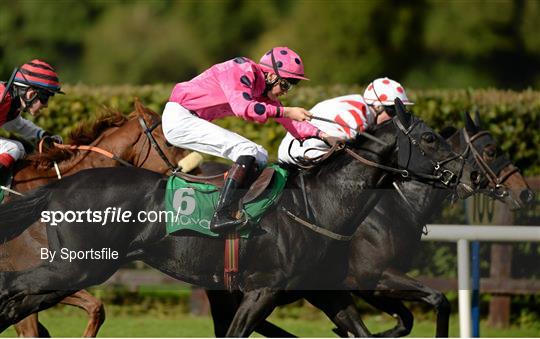Horse Racing from Navan - Wednesday 9th October