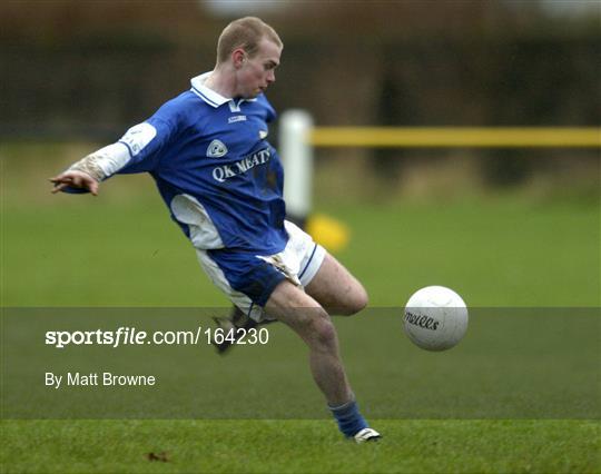 Kilkenny v Laois