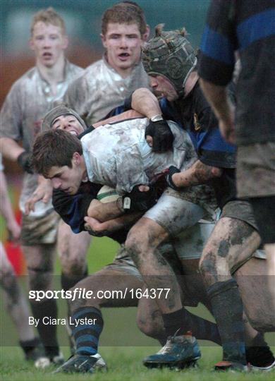 Mount Temple v Presentation College Bray