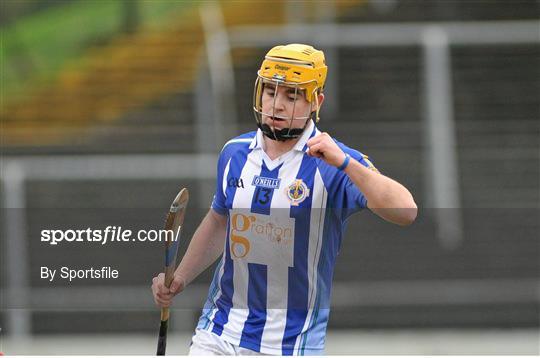 Mount Leinster Rangers v Ballyboden St Enda's - AIB Leinster Senior Club Hurling Championship Semi-Final