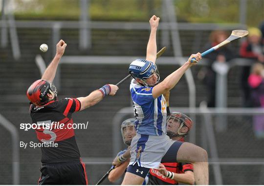 Mount Leinster Rangers v Ballyboden St Enda's - AIB Leinster Senior Club Hurling Championship Semi-Final