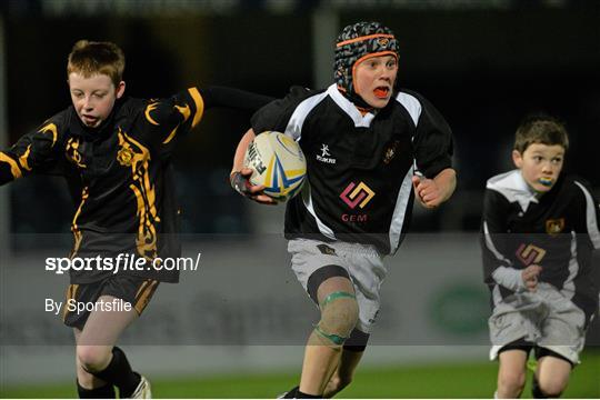Half-Time Mini Games at Leinster v Scarlets - Celtic League 2013/14 Round 9