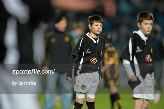 Half-Time Mini Games at Leinster v Scarlets - Celtic League 2013/14 Round 9