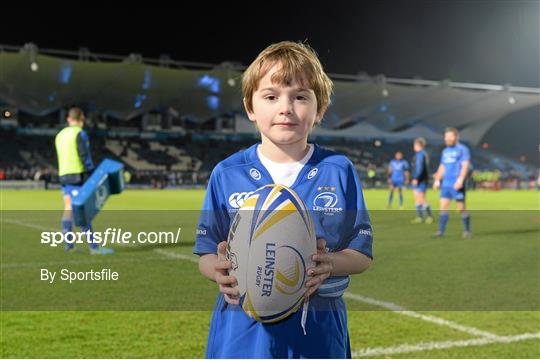 Mascots at Leinster v Scarlets - Celtic League 2013/14 Round 9