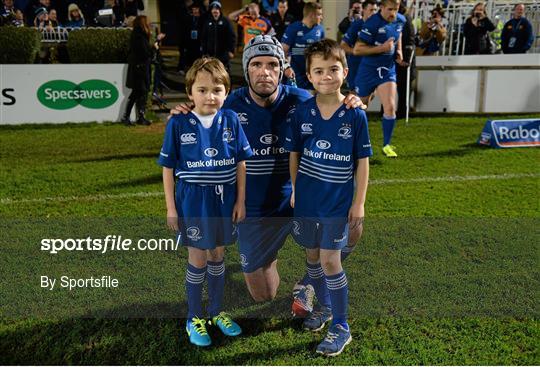 Mascots at Leinster v Scarlets - Celtic League 2013/14 Round 9