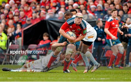 Munster v Perpignan - Pool 6 Round 3 - Heineken Cup 2013/14