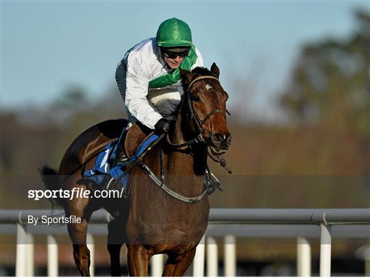 Leopardstown Christmas Racing Festival 2013 - Thursday 26th December