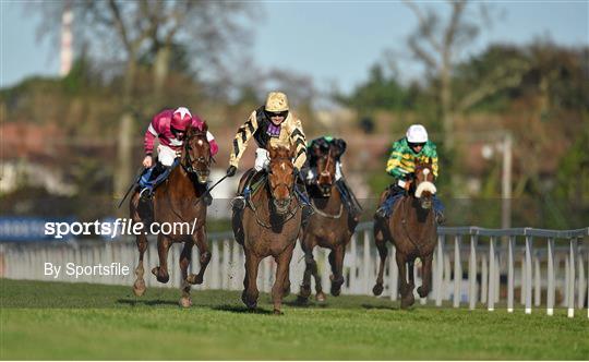 Leopardstown Christmas Racing Festival 2013 - Saturday 28th December