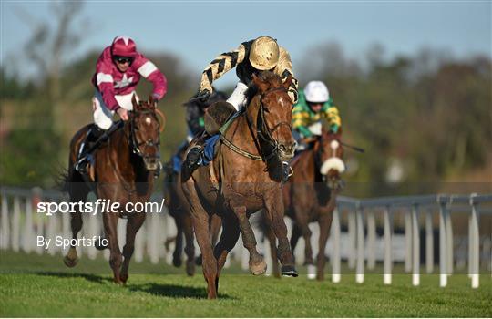 Leopardstown Christmas Racing Festival 2013 - Saturday 28th December