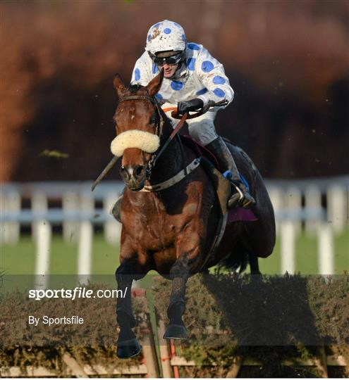 Leopardstown Christmas Racing Festival 2013 - Saturday 28th December