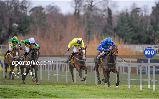 Leopardstown Christmas Racing Festival 2013 - Sunday 29th December