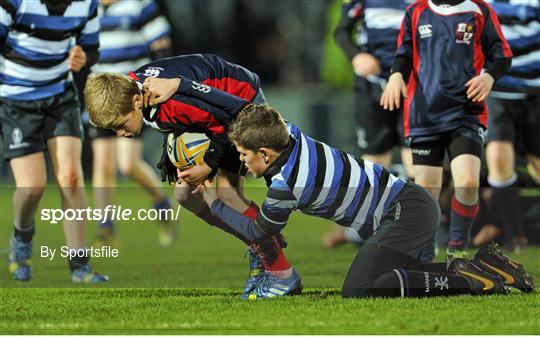 Half-Time Mini Games at Leinster v Ulster - Celtic League 2013/14 Round 11