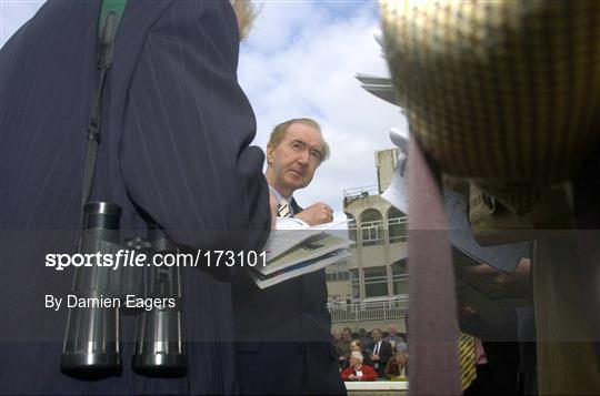 Leopardstown Races Sunday