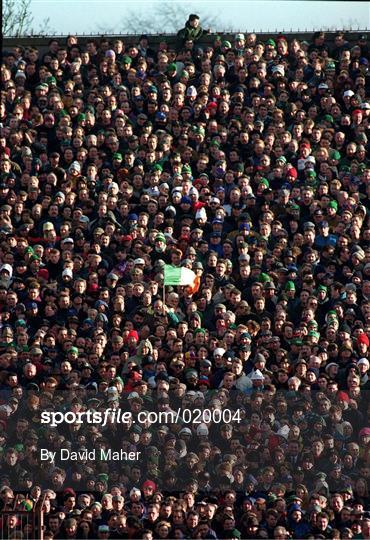 Ireland v England - Five Nations Championship 1995