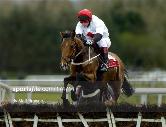 Punchestown Races Wednesday