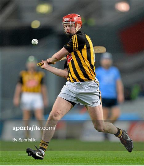 Dublin v Kilkenny - Bord na Mona Walsh Cup Final