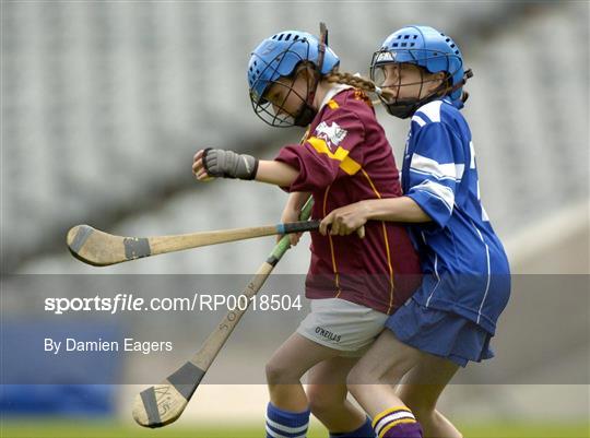 Allianz Cumann na mBunscoil Finals