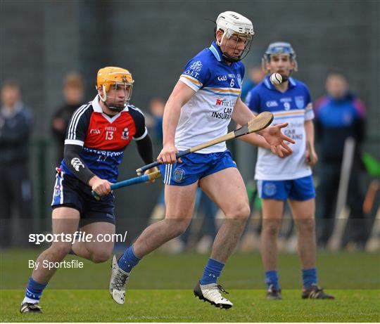 Dublin Institute of Technology v Waterford Institute of Technology - Irish Daily Mail HE GAA Fitzgibbon Cup 2014 Quarter-Final