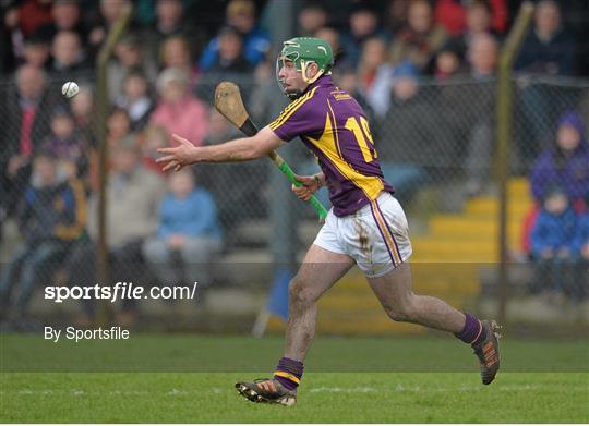 Wexford v Offaly - Allianz Hurling League Division 1B Round 2