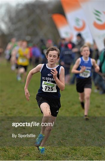 Woodie’s DIY Intermediate, Master & Juvenile Development Cross Country Championships of Ireland