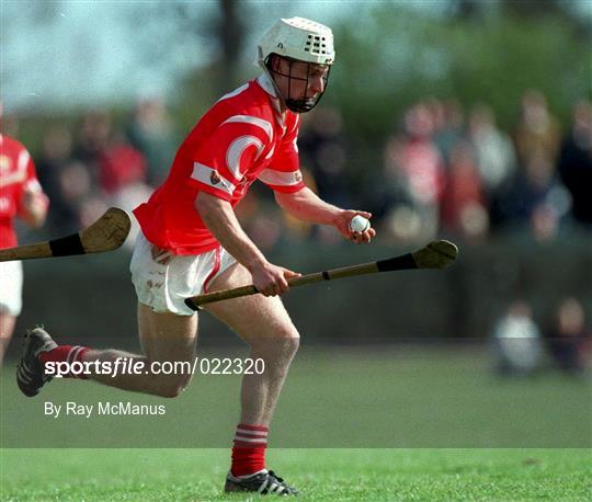 Wexford v Cork - Church & General National Hurling League Division 1B