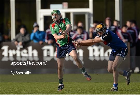 Limerick IT v Waterford Institute of Technology - Irish Daly Mail Fitzgibbon Cup Semi-Final