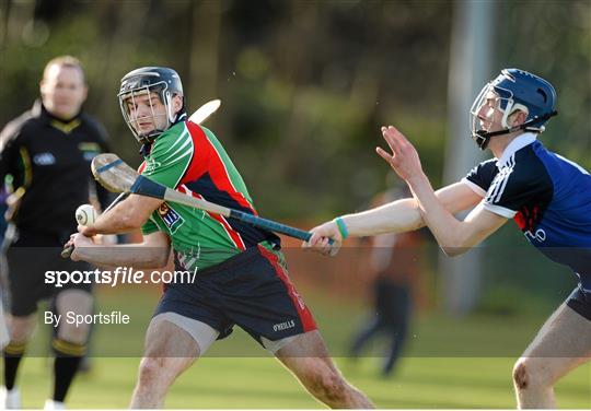 Limerick IT v Waterford Institute of Technology - Irish Daly Mail Fitzgibbon Cup Semi-Final