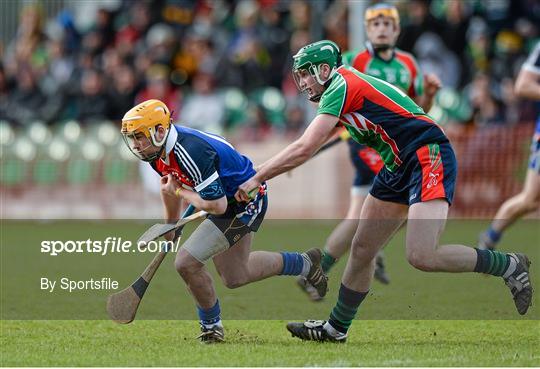 Limerick IT v Waterford Institute of Technology - Irish Daly Mail Fitzgibbon Cup Semi-Final