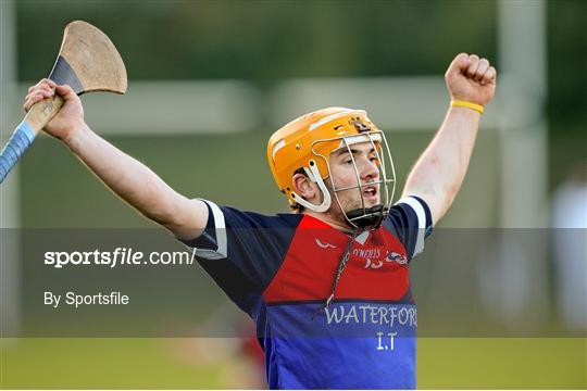 Limerick IT v Waterford Institute of Technology - Irish Daly Mail Fitzgibbon Cup Semi-Final