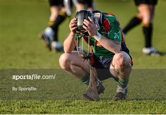 Limerick IT v Waterford Institute of Technology - Irish Daly Mail Fitzgibbon Cup Semi-Final