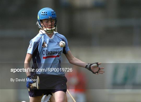 Dublin v Armagh - Camogie