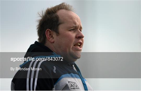 Dublin v Kerry - Tesco HomeGrown Ladies National Football League Division 1