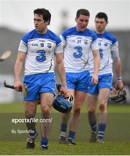 Waterford v Dublin - Allianz Hurling League Roinn 1A Relegation Play-Off