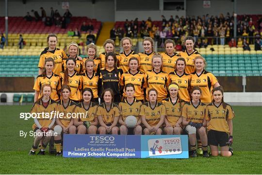 Coláiste Dún Iascaigh, Cahir v Coláiste Íosagáin, Stillorgan - TESCO HomeGrown Post Primary School Senior A Final