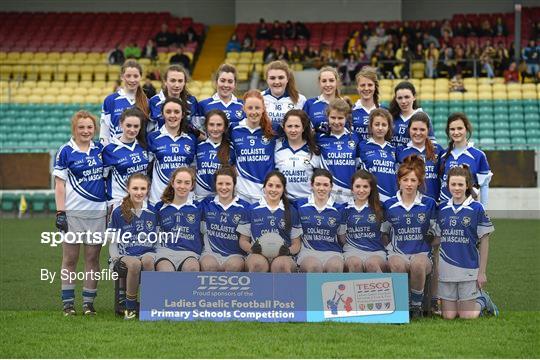 Coláiste Dún Iascaigh, Cahir v Coláiste Íosagáin, Stillorgan - TESCO HomeGrown Post Primary School Senior A Final