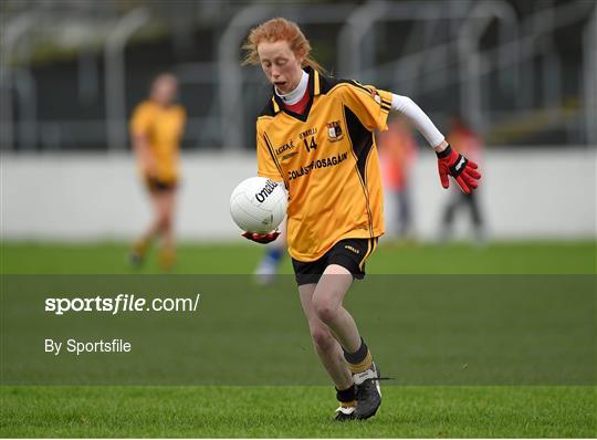 Coláiste Dún Iascaigh v Coláiste Íosagáih - TESCO HomeGrown Post Primary School Senior A Final