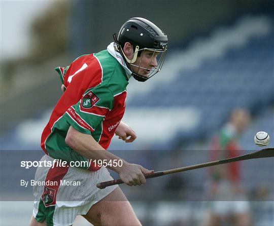 UCD v James Stephens - Leinster Club Hurling Final