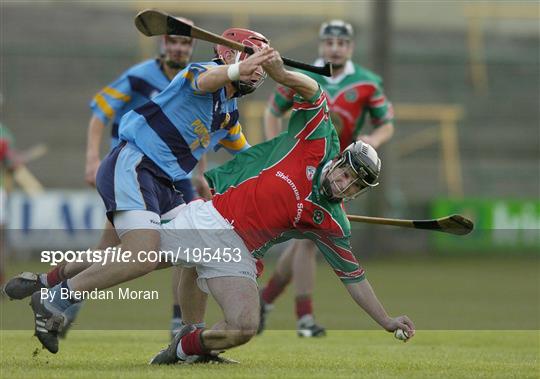 UCD v James Stephens - Leinster Club Hurling Final