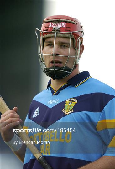 UCD v James Stephens - Leinster Club Hurling Final